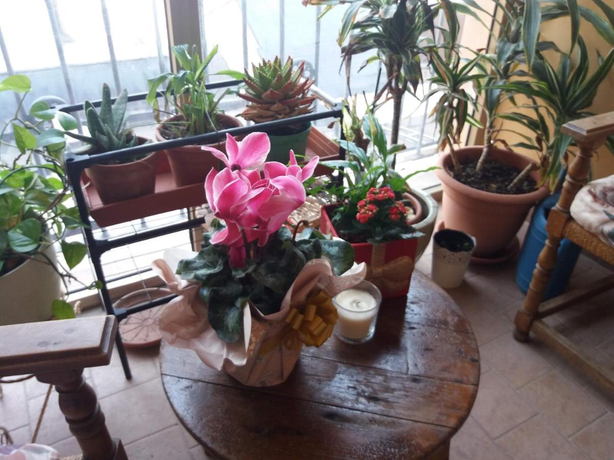 "La Maison Del Corso" Hospitality Pisa Dış mekan fotoğraf